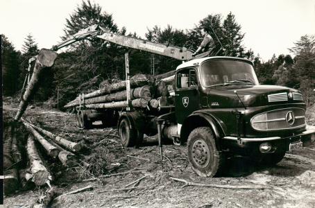 Mercedes-Benz L 1623/1624 (3 foto)