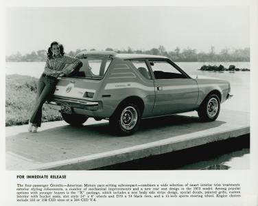 AMC Gremlin (5 foto)