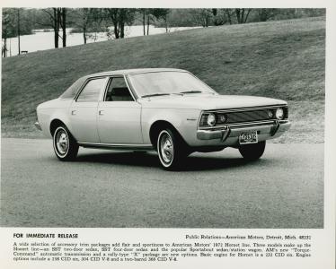 AMC Hornet (9 foto)