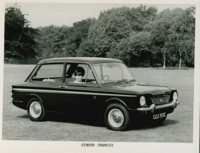 Singer chamois  (foto 3)