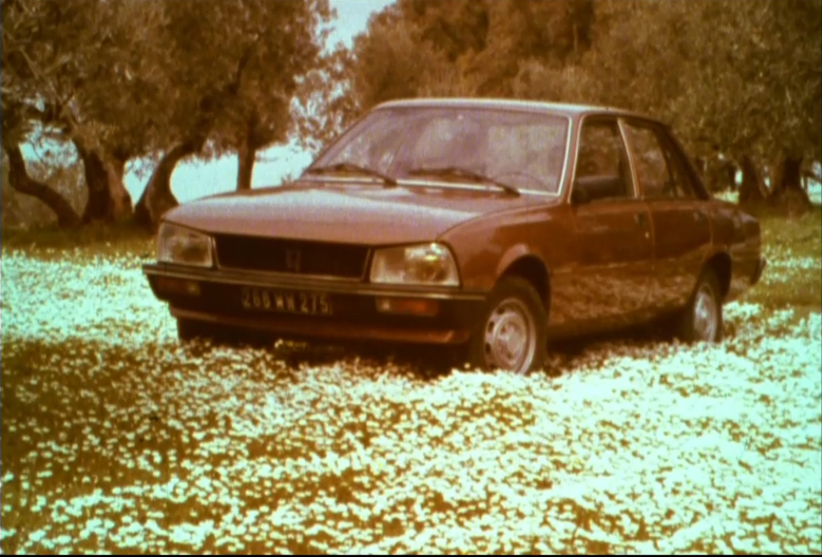 Peugeot 505
